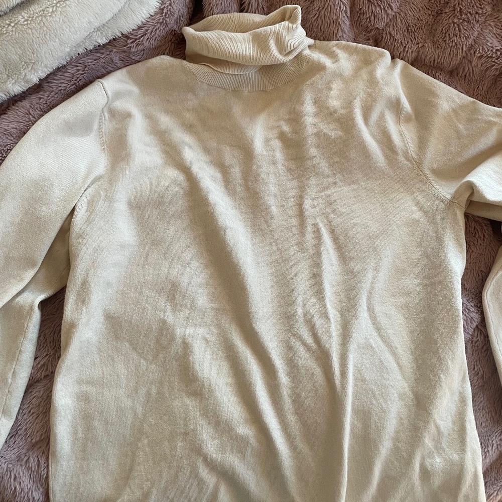 Aritzia Babaton Cream Color Turtleneck